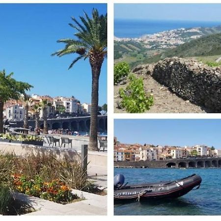 Appartement 300 M Plage Et Port Banyuls-sur-Mer Exterior photo