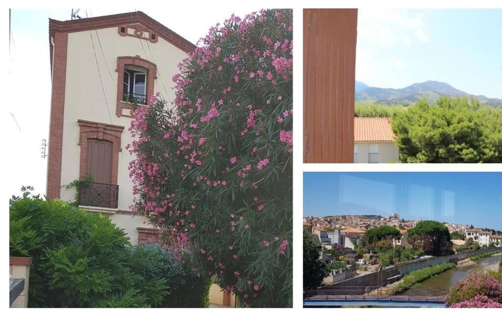 Appartement 300 M Plage Et Port Banyuls-sur-Mer Exterior photo